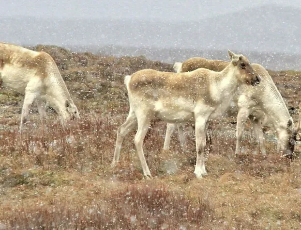 The Keeper's Kitchen B&B hotel detail image 3