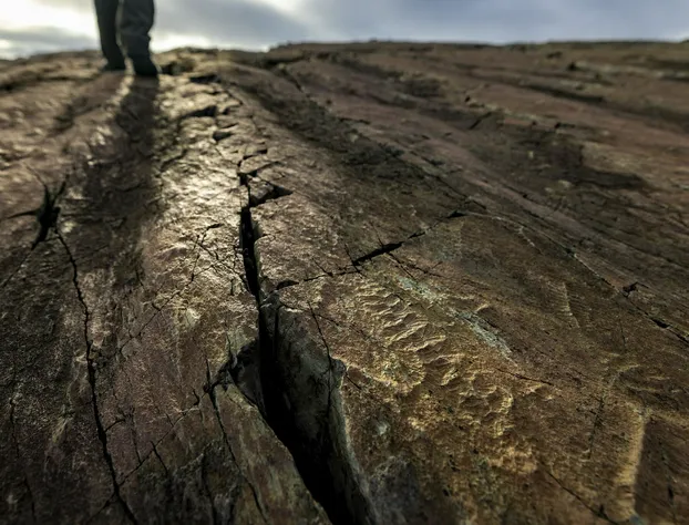 The Keeper's Kitchen B&B hotel detail image 4