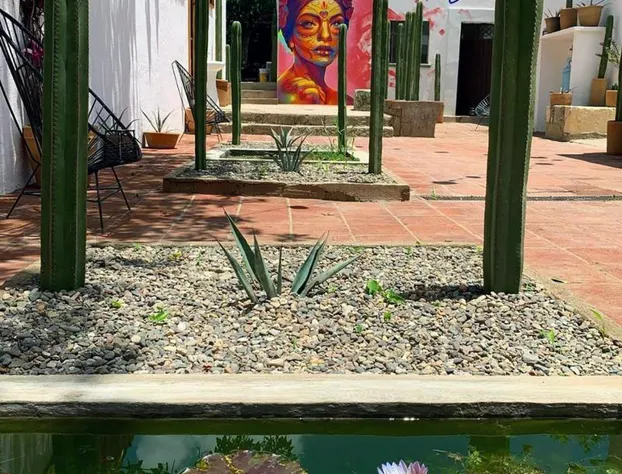 Ticuchi Hostal hotel detail image 1