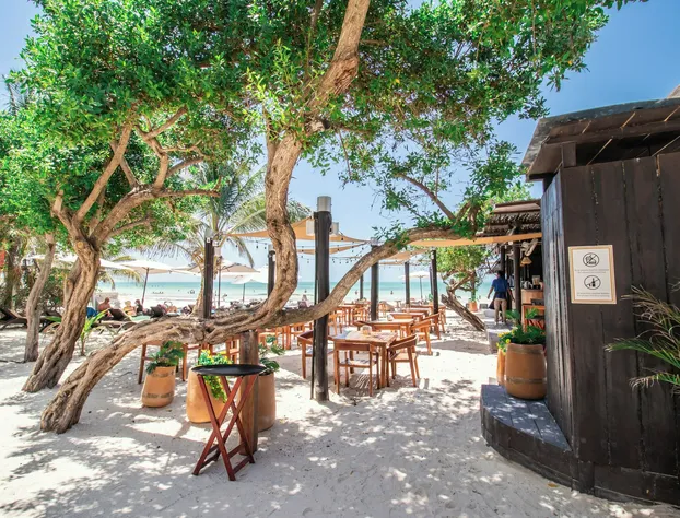 HAU Holbox Beach Front hotel detail image 2