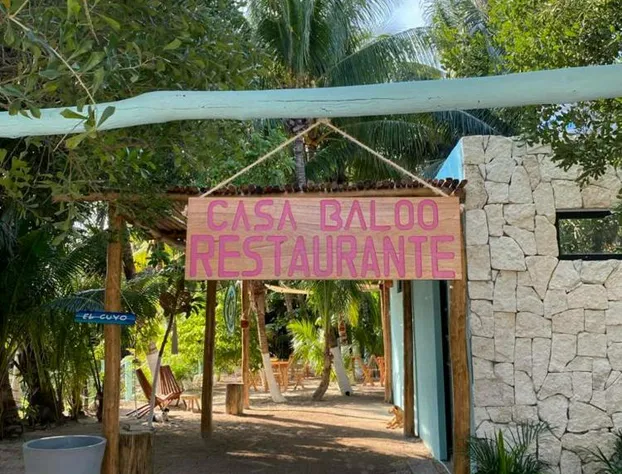 Casa Baloo hotel detail image 2
