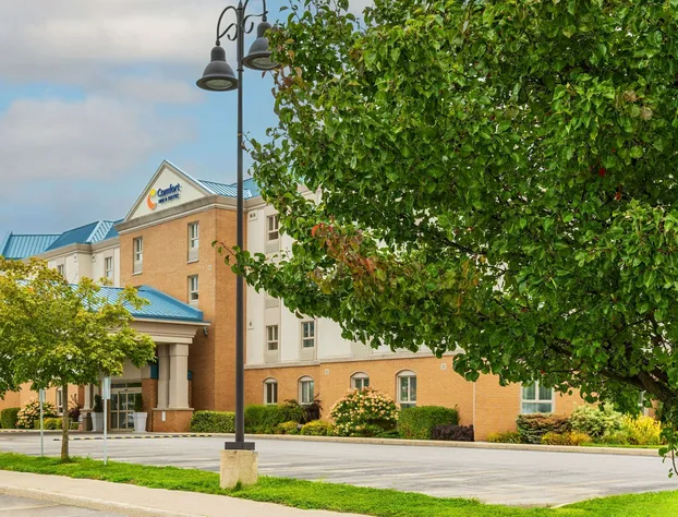 Comfort Inn & Suites hotel detail image 3