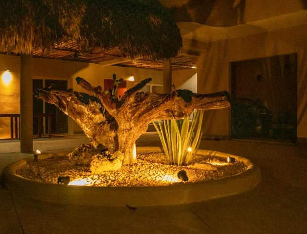 Hotel Circulo Bacalar hotel detail image 1