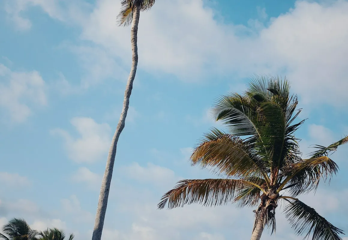 Phoenix by Kan hotel hero