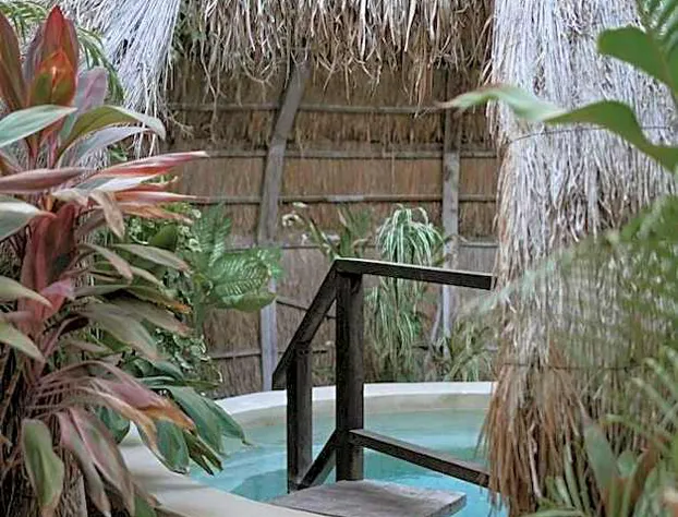 Cervecería Tulum Boutique Hotel & Beer Spa - All Inclusive hotel detail image 4