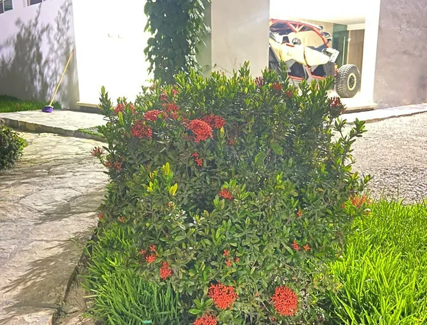 Hotel El Mirador hotel detail image 2