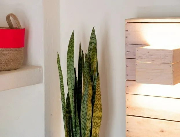 Casa Cheleb hotel detail image 2