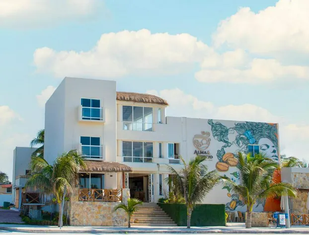 Casa Viento Hotel hotel detail image 4