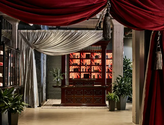 The Radical Asheville, Tapestry Collection by Hilton hotel detail image 3