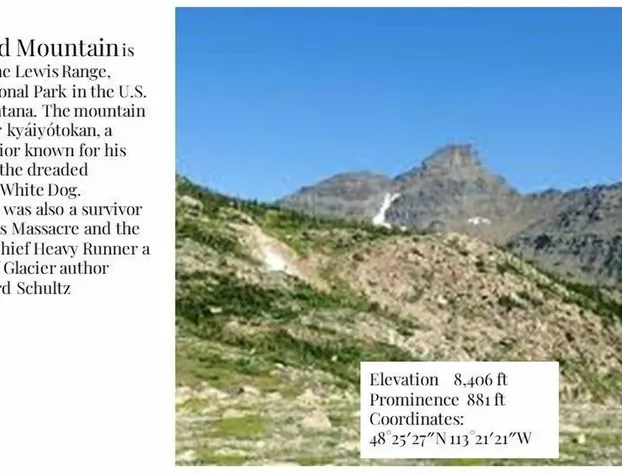 DB Botique and Cabins hotel detail image 4