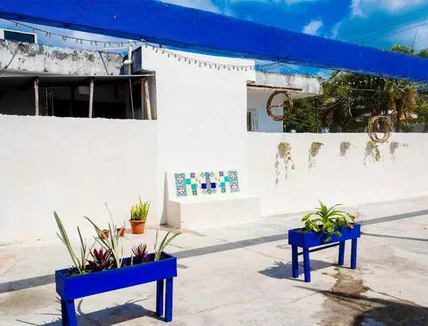 Nido Wellness Bacalar hotel detail image 4