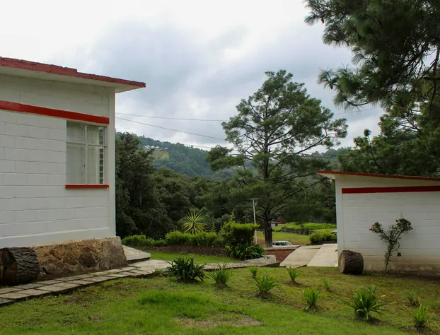 Bungalows Villa Limon hotel detail image 1