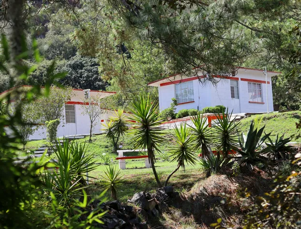 Bungalows Villa Limon hotel detail image 3