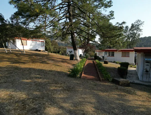 Bungalows Villa Limon hotel detail image 4