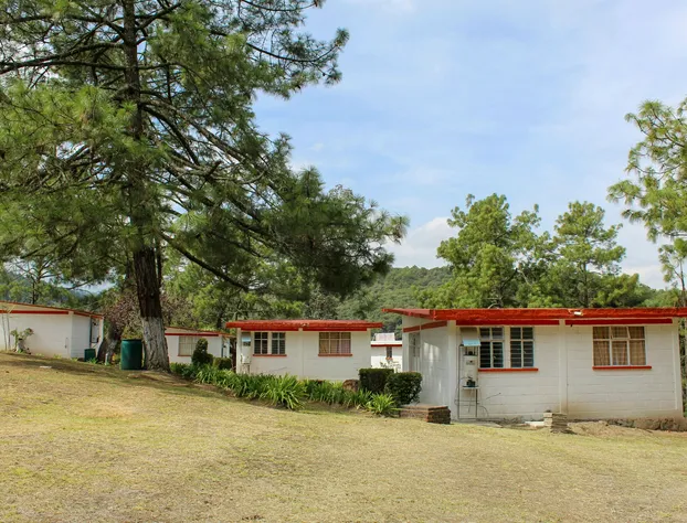 Bungalows Villa Limon hotel detail image 1