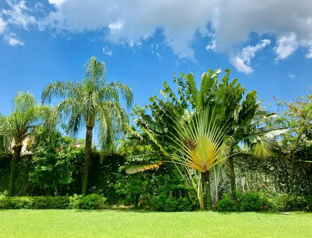 Bacab Mansion hotel detail image 2