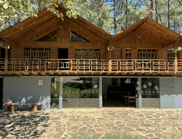 PINE TREE Hotel Boutique & Cabañas hotel detail image 3