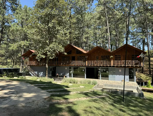 PINE TREE Hotel Boutique & Cabañas hotel detail image 2