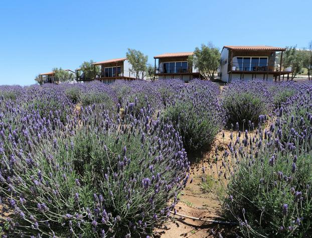 Montevalle Resort and Spa hotel detail image 4