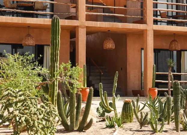 Baja Temple hotel detail image 1