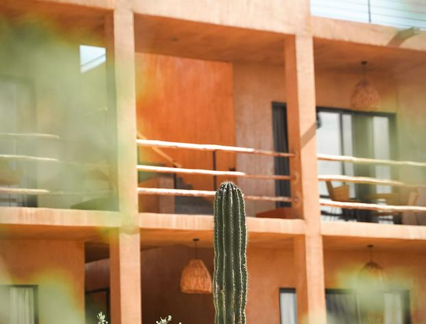Baja Temple hotel detail image 1