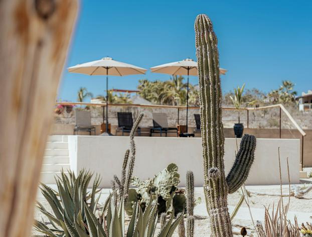 Baja Temple hotel detail image 2