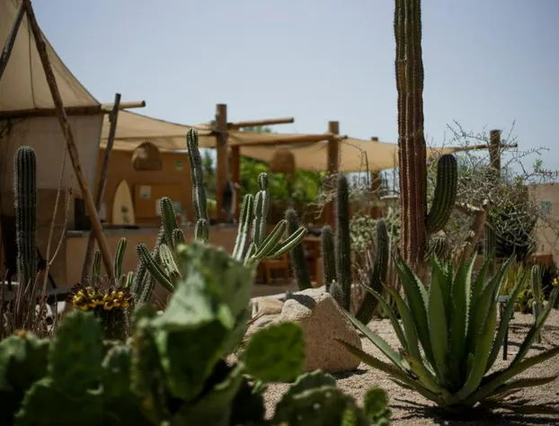 Baja Temple hotel detail image 3