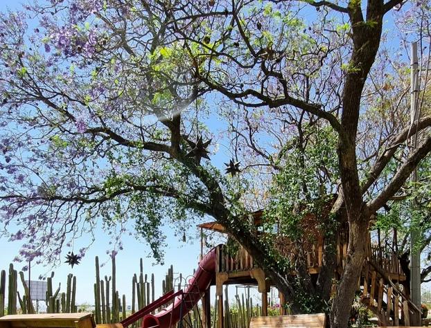Hacienda Maria Eugenio hotel detail image 4