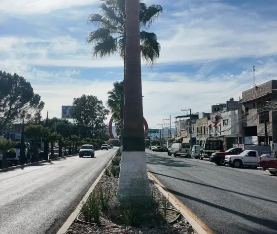 Hotel Churumuco hotel detail image 4