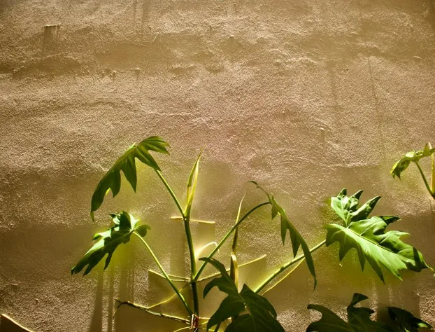 Hotel Koox Jool Bacalar hotel detail image 1
