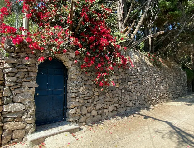 Magnolias Jardin & Boutique Suites hotel detail image 4