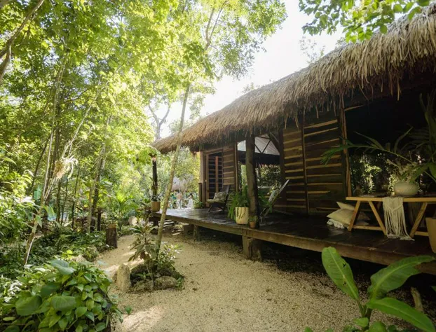 Madre Tierra Eco Habitat hotel detail image 1