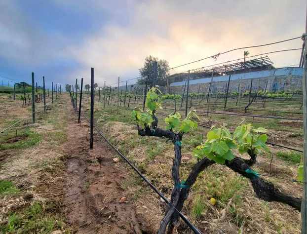 Finca Selah hotel detail image 3