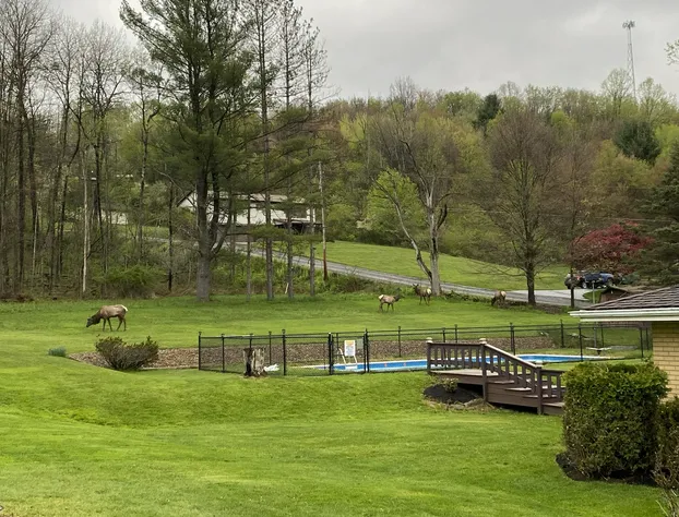 Bennetts Valley Elk Country Inn hotel detail image 3