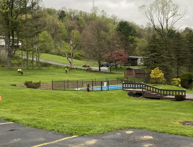 Bennetts Valley Elk Country Inn hotel detail image 4