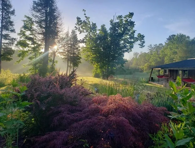 Rising Spirit Bed & Breakfast hotel detail image 4