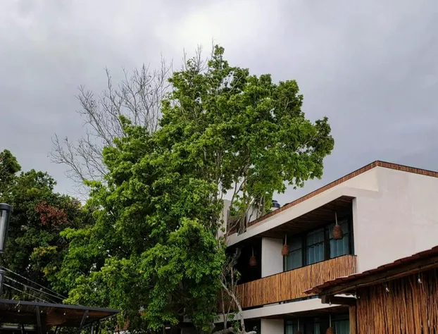 Aktun Bacalar hotel detail image 1