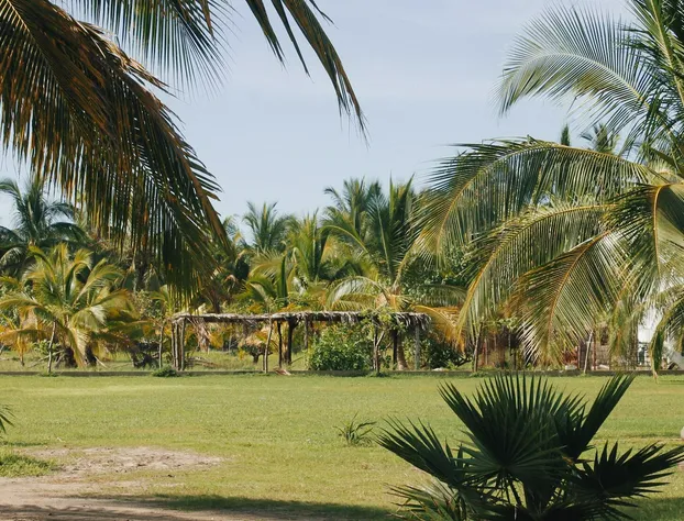 Hotel Chiringuito de Palo hotel detail image 2