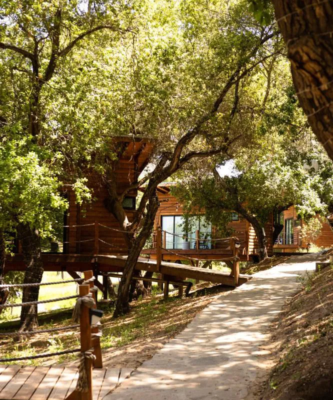 Boskenvid Hotel - Romantic Treehouses & Skypool hotel hero