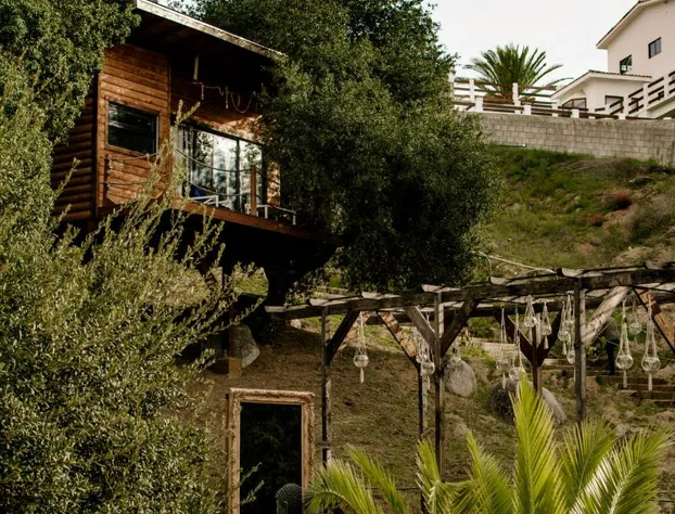 Boskenvid Hotel - Romantic Treehouses & Skypool hotel detail image 1