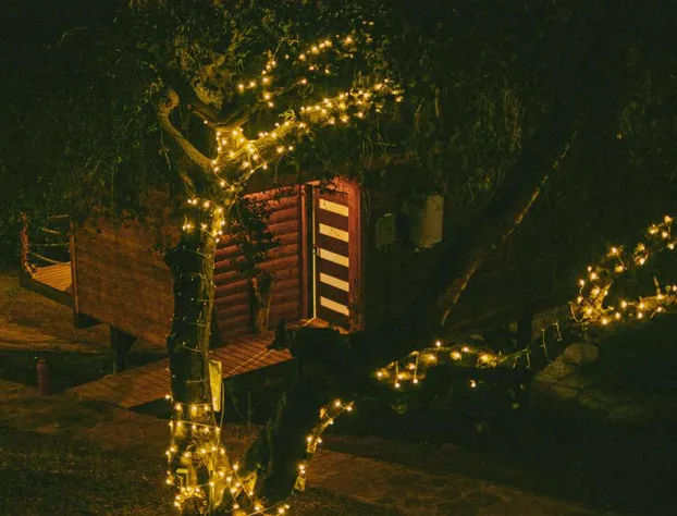 Boskenvid Hotel - Romantic Treehouses & Skypool hotel detail image 4