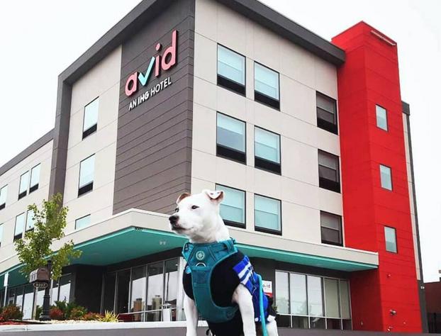 avid hotel Austin NW Lakeline by IHG hotel detail image 1