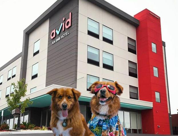 avid hotel Austin NW Lakeline by IHG hotel detail image 2