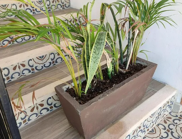 Hotel Casa Henequén hotel detail image 3