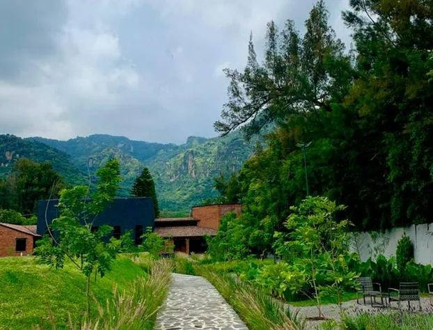Quinta Tonantzin Hotel Boutique hotel detail image 3