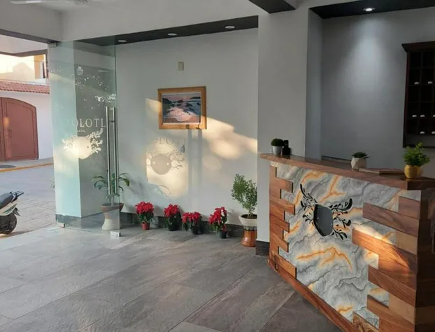 Hotel Axolotl hotel detail image 3