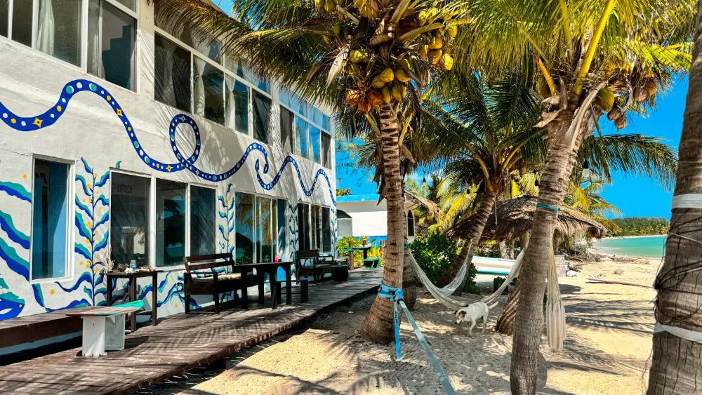 Pronoia Casa de Playa hotel hero