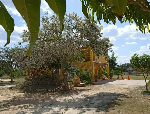 Eco hotel Shalom hotel detail image 4