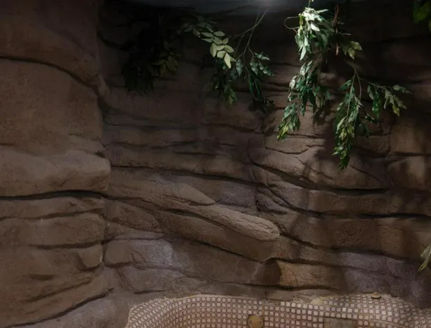 The Sage Hotel hotel detail image 3