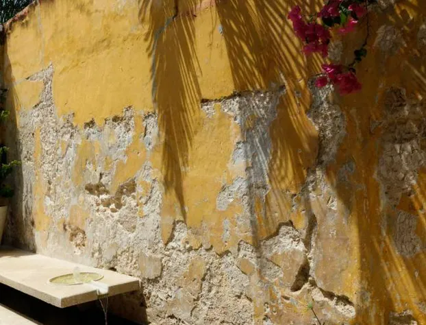 Las Lupitas Hotel Boutique hotel detail image 3